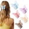 2.7" Butterfly Clips for Thick or Thin Hair - 5Pcs Strong Hold Hair Accessories with Claw Clamps