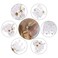 YOHAMA 36 PCS Clear Mini Hair Claw Clips Great for Design Kids Adult Hairstyles White Plastic Hair Clips Small Decoration Buns Pining Bangs Strong Grip Multifunction Clamp Clips.