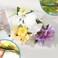 HAIMEIKANG Hair Clip, 3 Pieces Hawaiian Flower Hair Pins - Artificial Tropical Flower Hair Accessories for Women in White, Yellow, Purple (3 Count, 1 Package)