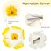 Flower Hair Clips for Women, 6Pcs Plumeria Claw Clips for Think Thin Hair (Gradient hibiscus)