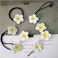 Plumeria Hair Ties Frangipani Flower Hair Clips Pin Plumeria Hair Ring Rope Tie BWF01 (6 PCs-Set A)