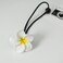 Plumeria Hair Ties Frangipani Flower Hair Clips Pin Plumeria Hair Ring Rope Tie BWF01 (6 PCs-Set A)