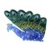 Peacock Claw Clip,Acetate Hair Clips,Small Claw Clips for Women