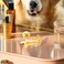 Dog Hair Clips Golden Retriever Hair Claw Clips for Women Girls Cute Small Hairpins Hairgrips for Thick or Medium Hair Golden Retriever Hair Accessories for Women Dog Lovers