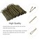 100PCS 2Inches Hair Pins Kit Hair Clips Secure Hold Bobby Pins Hair Clips for Women Girls and Hairdressing Salon With Clear Storage Box(Bronze)