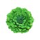 Women's Bohemia Peony Flowers Hairpin Hair Clip Flower Brooch for Travel Party Festivals (Green) (Pack of 1)