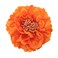 Women's Bohemia Peony Flowers Hairpin Hair Clip Flower Brooch for Travel Party Festivals (Orange) (Pack of 1)
