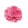Women's Bohemia Peony Flowers Hairpin Hair Clip Flower Brooch for Travel Party Festivals (Pink) (Pack of 1)