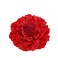 Women's Bohemia Peony Flowers Hairpin Hair Clip Flower Brooch for Travel Party Festivals (Red #)