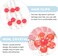 LALAFINA Japanese Tassel Hair Clip Chinese Hanfu Hairpin Kimono Hair Clip Fan Clip Qipao Hanfu GeiSha Decorations for Spring Year Hairpins Accessories