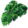 Beleki Hair Claw Clip, 3.54 inch Leaf Design for Thick or Thin Hair, Strong Hold Spring Jaw Clamp Accessory for Women, Green