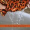 Hair Towel Wrap for Women - 3 Pack Super Absorbent Rapid Drying Hair Towel with 1 Pack Mask Towel, Magic Instant Dry Hair Cap Towel with Button, Hair Wrap Towels for Curly Hair Anti Frizz