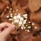 Jakawin Flower Bride Wedding Hair Piece Gold Leaf Hair Comb Pearl Bridal Hair Accessories for Women HC132