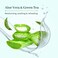 Le Petit Olivier Purifying Micellar Shampoo - Aloe Vera And Green Tea - Cleanses Hair - Reduce Excess Sebum - Suitable For Normal To Oily Hair - Free Of Silicones - 8.45 Oz