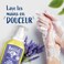 Le Petit Marseillais Hand washing gel with Pure Soap and Lavender (300 ml pump bottle) &ndash; Liquid soap with 92% ingredients of natural origin &ndash; Hand soap with neutral pH for the skin