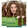 Clairol Natural Instincts Demi-Permanent Hair Dye, 6.5G Lightest Golden Brown Hair Color, Pack of 3