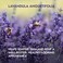 Alteya Organics Lavender Water USDA Certified Organic Facial Toner, 17 Fl Oz/500mL Pure Bulgarian Lavandula Angustifolia Flower Water, Award-Winning Moisturizer BPA-Free Bottle with Reducer
