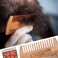 3 Swords Germany &ndash; beard mustache care comb (VGW)
