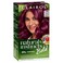 Clairol Natural Instincts Bold Permanent Hair Dye, F66 Dragon Fuchsia Hair Color, Pack of 1