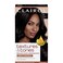 Clairol Textures &amp; Tones Permanent Hair Dye, 1N Natural Black Hair Color, Pack of 1