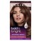 Clairol Bold &amp; Bright Permanent Hair Dye, 67 Chocolate Hair Color, Pack of 1
