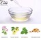 Cite]Moist Hand Soap, 10.1 fl oz (300 ml), Smooth Foaming, Stylish, Good Scent, Oriental Floral Scent, Made in Japan, Makes a Great Gift