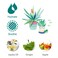 My Beauty Diary Aloe Vera Soothing Facial Face Mask (8 Sheets)- New English Version