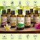 AROMATIKA Aloe Vera Oil 1.7 Fl Oz (50ml) - 100% Pure &amp; Natural - Aloe Barbadensis - Brasil - Care for Skin - Body - Hair Growth - Face Moisturizer - Baby Oils - Used for Massage - Bath
