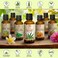 AROMATIKA Pure Hemp Oil 1.7 Fl Oz - Hemp Seed Oil - 100% Natural &amp; Cold Pressed Carrier Oil used for Skin Care - Haircare - Massage - Cosmetics - Brown Glass Bottle 50ml - Oils Hemp