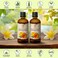 AROMATIKA Calendula Oil set 2 x 3.4 Fl Oz - 6.8 Fl Oz - Calendula Officinalis - Infused - Almond Oil Base - 100% Pure &amp; Natural - Marigold Oil - for Skin, Nails, Hair, Face, Body