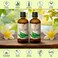 AROMATIKA Aloe Vera Oil Pure Set 6.8 Fl Oz &ndash; 100% Natural - Glass Bottle - Aloe Vera Oil Base Oil - Aloe Barbadensis - Brazil - Refined - Intensive Care for Face - Body - Hair - Hands - Massage