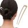 INCAUCA 2 Pack Simple Metal U Shaped Hairpins, French Style Hair Pins for Women Girl, Hair Stick Forks, Hair Styling Pins for Updo Buns, 2 Prong Tortoise Shell U Shaped Hair Pin Chignon (Gold)