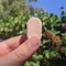 Foaming Hand Soap Refill Tablets Dissolvable Plastic Free Hand Wash Pods Just Add Water Juicy Orange Scent 3 Tablets