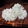 Traditional Indian Hair accessories White Gajra Artificial Flower Jewelry Handmade Veni tiara For Women Party Wear bridal mehndi Hair Bun