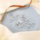Easedaily Crystal Bride Wedding Hair Comb Silver Rhinestone Bridal Hair Pieces Hair Clip Hair Accessories for Women and Girls (A-silver)