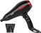 BERTA 1875W Professional Salon Hair Dryer Negative Ionic Blow Dryer, 2 Speed 3 Heat Settings Cool Button with AC Motor, Concentrator Nozzle &amp; Diffuser