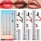 Dulele 3PCS Lip Liner Set, Peel Off Lip Liner Tattoo, Peel Off Lip Stain, Long Lasting Waterproof Lip Stain Peel Off, Transfer Proof Matte Finish Lip Gloss (Red, 1)
