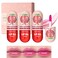 3PCS Lip Gloss,Hydrating Lip Oil Tinted Set   Long Lasting   Non-Sticky   High Shine for Plumper Looking Lips,Moisturizing Lip Oil Gloss for Lip Care and Dry Lips