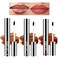 3PCS Peel Off Lip Liner, Lip Liner Tattoo Peel Off,Brown Long Lasting Lip Liner Stain,Matte Tattoo Lip Liner Stain Peel Off,Infused with Hyaluronic Acid &amp; Vitamin E