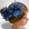 Women's Brooches 4pcs Organza Flower Feather Hair Clip Dancer Pin up Mexican Hair Flowers Clips Hairpin Brooch Tea Party Hats Headpieces Cotume Decor (blue)