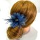 Women's Brooches 4pcs Organza Flower Feather Hair Clip Dancer Pin up Mexican Hair Flowers Clips Hairpin Brooch Tea Party Hats Headpieces Cotume Decor (blue)