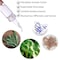 Anti-Wrinkles FGF Freeze-Dried Powder Set - Advanced Polypeptide Serum for Skin Firming, 100mg+5ml/pair, 3 pairs