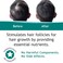 FEG All Natural Hair Growth Spray, 2 fl oz - For Men and Women with Hair Loss, Safe for All Types, Use Twice Daily to Help Regrowth