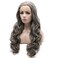 iwonawig Iewig Long Wavy Half Hand Tied Heat Friendly Wig Synthetic Lace Front Gray Wig