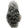 iwonawig Iewig Long Wavy Half Hand Tied Heat Friendly Wig Synthetic Lace Front Gray Wig