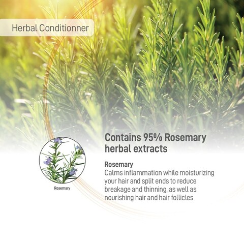 Moraz Natural Herbal Hair Conditioner, 500 ml