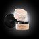 GA-DE Idyllic Mineral Loose Powder - Lightweight Setting Powder Makeup - Provides Antioxidant Protection and Blurs Imperfections - 100 Nude - 0.88 oz