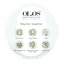 OLOS Youth Enhancing Revitalizing Toner, 8.4 oz &ndash; Refreshing, Illuminating Face Toner - Facial Toner to Boost Collagen - Protects From Pollution