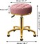 Rolling Stool Gold Vanity Stool with Wheels, Pedicure Massage Roller Stools, PU Leather Round Swivel Salon Spa Chair, Titanium Gold Base, Height Adjustable 43-55 cm (Pink)