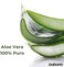 Babaria Natural Aloe Vera 24hr Moisturising Face Cream 50ml